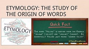 Etymology