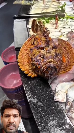 Stonefish – World’s Most Venomous Fish | Deadliest Ocean Creature Explained 🐟⚠️