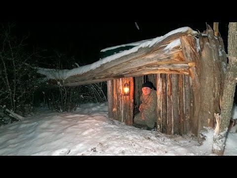 Building a Shelter Near a fallen tree, Near the jackals' lair