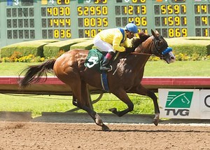 Baffert-trained Zulfikhar Delivers in Debut