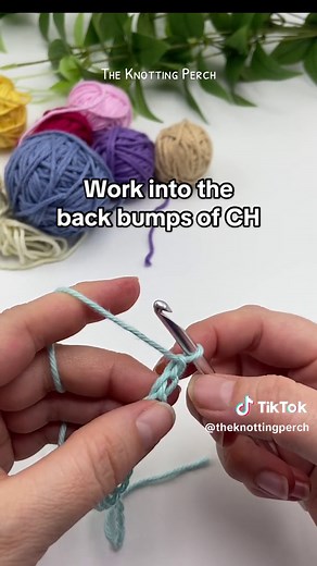 theknottingperch on TikTok