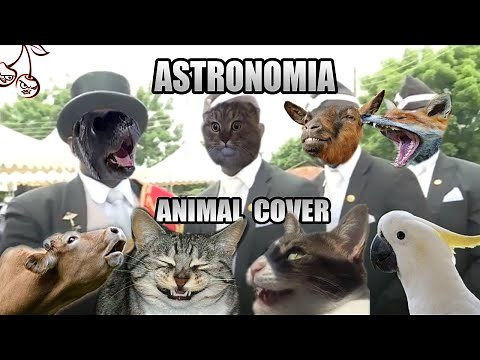 Coffin Dance but it's sounds like animals [Tony Igy - Astronomia (Animal Cover)]