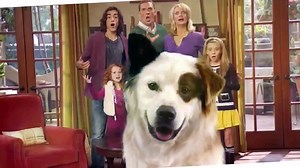 Dog With A Blog - S01 E18 A New Baby