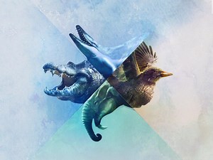 When Whales Walked: Journeys in Deep Time