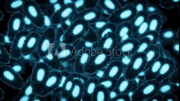 Extreme Close-Up of Microscopic Bacteria in Motion - Discover the Wonders of Microbial Life