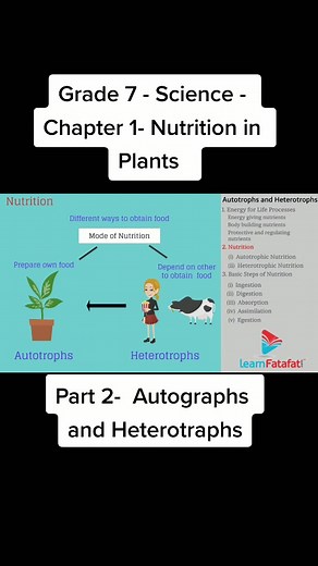 learnfatafat on TikTok