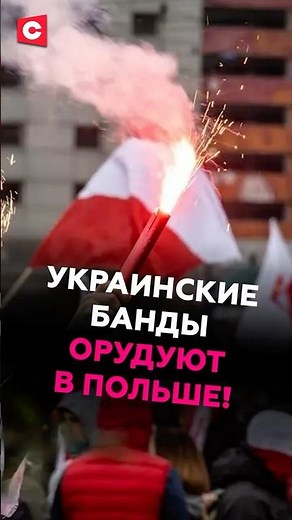 Ukrainian migrant gangs are operating in Poland! #poland #ukraine #migrants #news