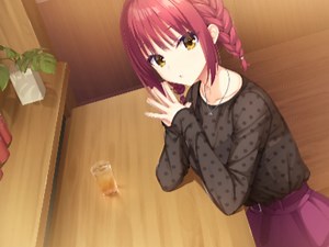 gal资源网站+模拟器 PC/手机版