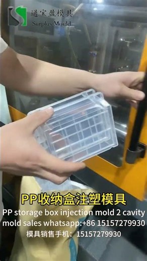PP storage box injection mold 2 cavity