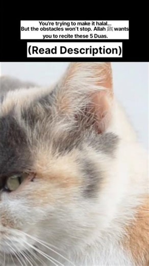 Choose halal. Trust Allah. He’ll make a way. 🤍