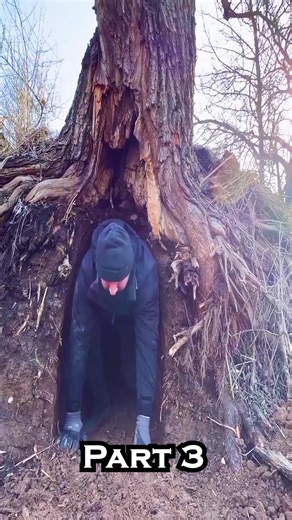 Building a secret shelter inside a large tree_ extreme survival - part 3 bushcraft survival camping bushcraft shelter shelter camp bushcraft skills bushcraft survival bushcraft camp survival skills solo camping outdoors survival shelter winter camping hiking cooking rain off grid living bushcraft camping asmr off grid forest cooking fishing log cabin building solo survival underground house living off grid forest fireplace survival videos wood 7 days solo survival camping heavy rain 3 days solo 