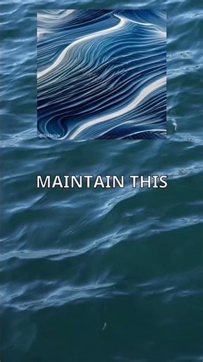 Wind Masters: Birds Hack Gravity! 🌊