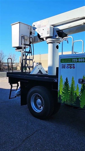 This Tree Service Truck Was Invisible Until I Wrapped It — Denver Fleet Wrap