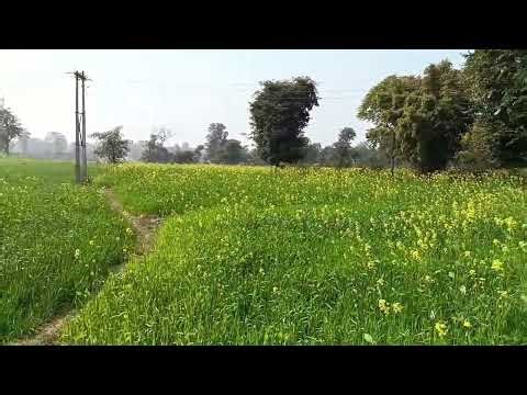 May Fast vlog 😡 my life vlog /Sunil Kumar vlog 😇