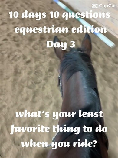 Tell me yours in the comments!!!!! #horse #blowup