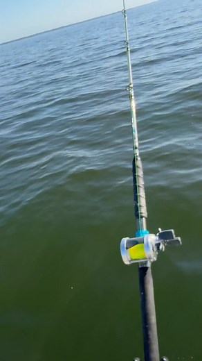 Monster over the rail. | Joseph Dennis