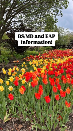Don & Woo | Med Students🩺 on Instagram: "Anyone thinking about becoming a doctor needs to know about BS/MD (Bachelor of Science/Doctor of Medicine) and EAP (Early Assurance Program) programs! FOLLOW & Comment “Guide” to get a free guide on these programs! Here’s the scoop: - **BS/MD Programs** are designed for high school students. You apply while still in high school, and if accepted, you’re guaranteed a spot in medical school right after completing your undergrad. This option is perfect for t
