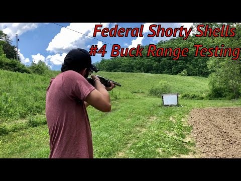Federal 12 Gauge Mini Shells #4 Buck Range Testing Part 1