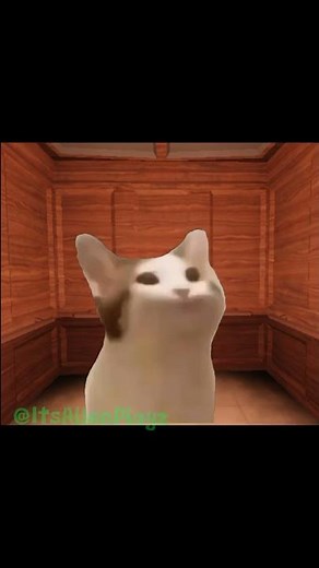 When the elevator music is good (Roblox Doors)