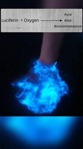 Bioluminescence Explained #science #facts #experiment #knowledge #space