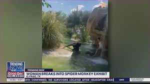 Woman breaks into spider monkey exhibit at Texas zoo