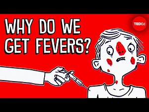 Why do you get a fever when you're sick? - Christian Moro - Videos For Kids