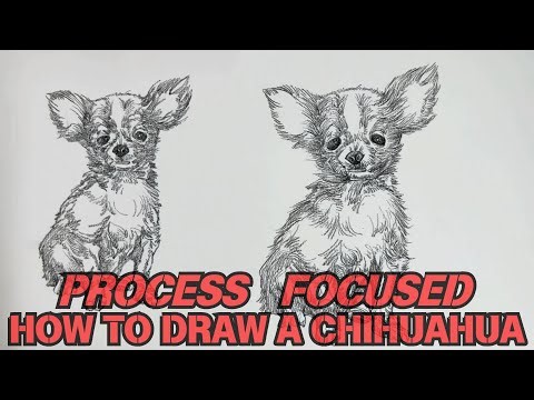 Pencil Drawing: How to Draw a Realistic Chihuahua | Step-by-Step Tutorial 🐶