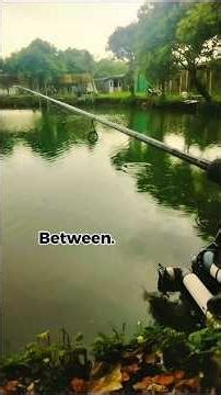 Between the Cast and the Catch | Calm Fishing POV