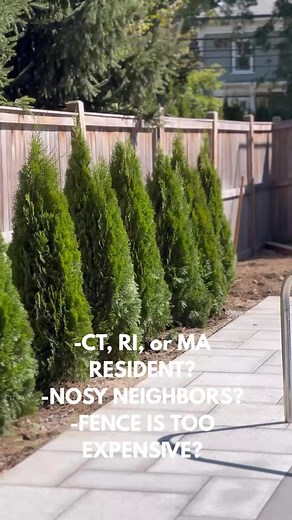 54 reactions · 11 comments | Fall Sale! Emerald Greens, Green Giant, Leyland Cypress, Winter Gem Boxwood, & More! | The Tree Supply | Facebook