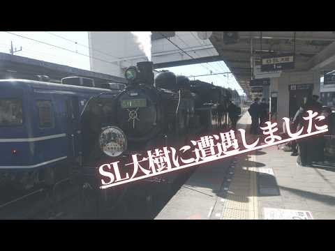 【東武鉄道 SL大樹に遭遇しました☆】鬼怒川温泉駅周辺さんぽ ・下今市駅でのSL車庫入れ風景など