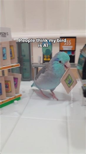 True Story 😅 #birds #parrot #parrotlet #harrisonsbirdfoods #ad miniature