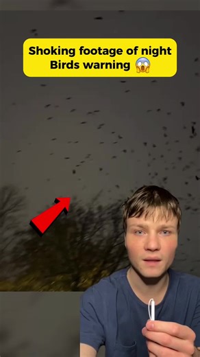 What is this? #foundfootage #horrortok #scarystories | scary story