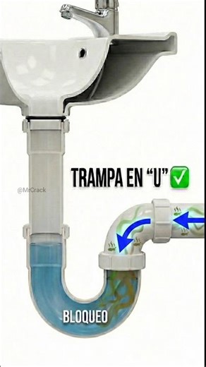 ¿Tu baño huele mal? 🤢🚽 Revisa este tubo 👇 #Shorts