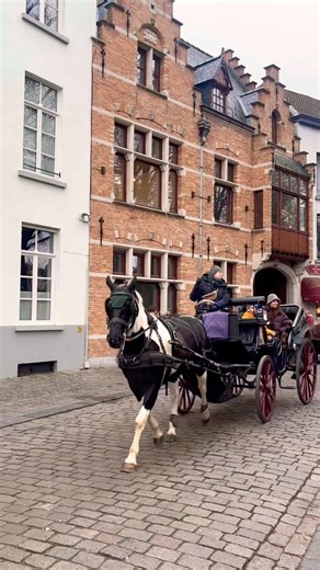 Beauty of Belgium 😍 #belgium #brussels #ghent #brugge #europe