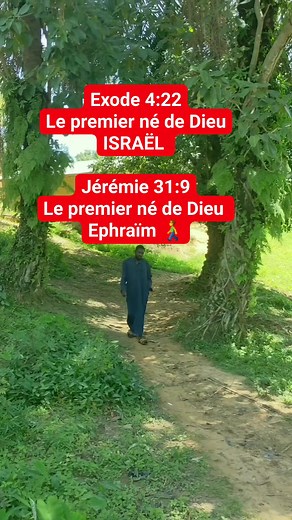 302K views · 5K reactions | Contradiction ++++ | Patra Demfans | Facebook