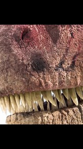 24K views · 846 reactions | "Journey Back in Time: The Majestic...