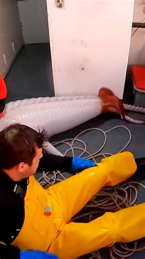 Giant Squid Attacks Fisherman on Camera 😱🌊 | #shorts #ai