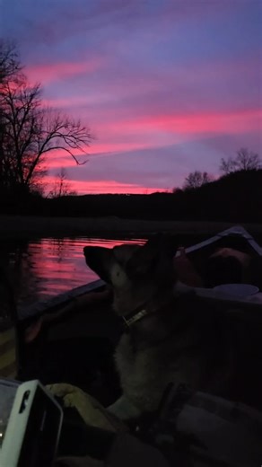 Ozark Magic, 12/9/25 Wading into the winter sunset, cold water between my toes, best friend by my side, and a fly rod in hand, ain't exactly the most comfortable, or sane thing to do... But damn, it makes me feel alive. This Magic doesnt happen on the couch, y'all, and we got some very mild weather on the way. This is one of the few times of the year I'm willing to make a deal, so give me a holler. #arkansas #ozarks #kingsriverarkansas #flyfishing #smallmouthbass | Jackson Butt