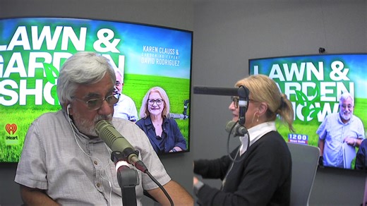 The WOAI LAWN & GARDEN SHOW is heard live every Saturday on 1200 WOAI and on Facebook Live from 6 am to 9 am with host Karen Clauss and gardening expert David Rodriguez. To be part of the show you can call them at 210-737-1200, by commenting on the WOAI Facebook page, or you can email Karen at karenclauss@iheartmedia.com and David at dhrodriguez@ag.tamu.edu | 1200 WOAI
