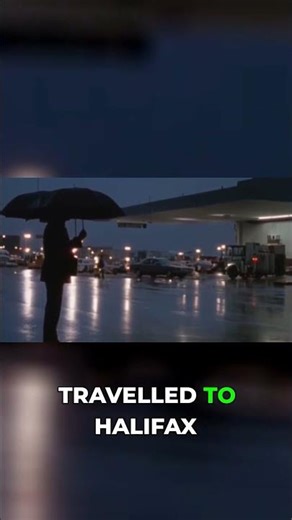 What Happened to Andrea? The Search That Shocked a City