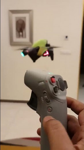 Dji Fpv | Motion Controller