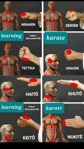 This image is a martial arts educational chart detailing fundamental karate hand striking techniques and their striking surfaces. It showcases techniques like Seiken (standard punch), Tettsui (hammer-fist), and Shutô (knife hand). Each technique is paired with a diagram indicating the specific part of the hand used and the corresponding vital target area on the human body. The chart emphasizes proper form for effective striking and self-defense training. The techniques shown include: Hiraken (fl