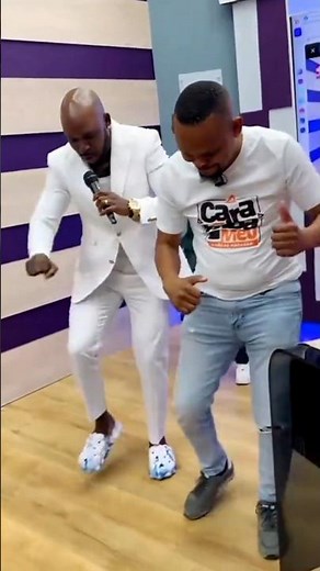 Mr Bow Nova Musica (December 2025)