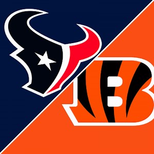Texans 10-6 Bengals (Nov 16, 2015) Final Score - ESPN