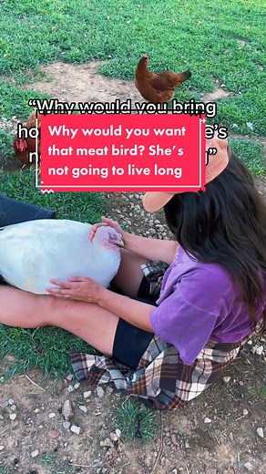 Turkeys are incredible creatures ❤️🦃 #petturkey #turkeysoftiktok #meatbird #friendsnotfood #chickens #chickensoftiktok #homestead #funnyfarm #ethicalfarming #farm #farming #homesteading #homeschoolfamily #meatbirds #meatbirds2022 #chickenlady #poultry #myflock #keepingchickens #broadbreastedwhite #turkeyseason #turkeys #homestead #hobbyfarm #smallfarm #uselessfarm #animalrights #animalwelfare #turkeysoftiktok🦃