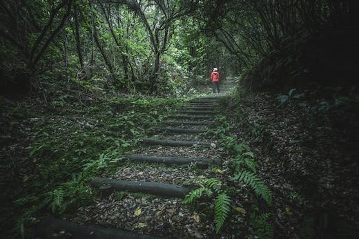 8 eco-friendly destinations where sustainability is priority