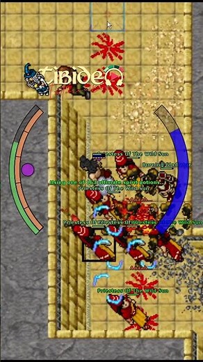 TIBIA / UNA MECÁNICA IMPORTANTE