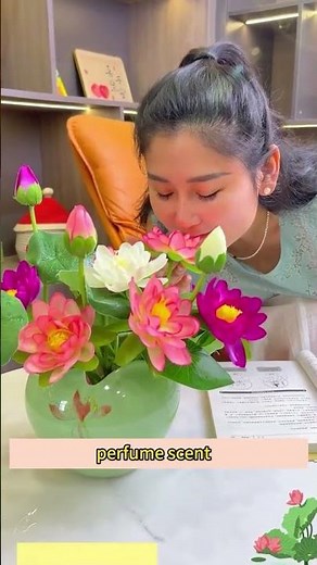 🌱 How to Grow Lotus from Seeds? | #Rootfuel 100PC Lotus Seeds Guide