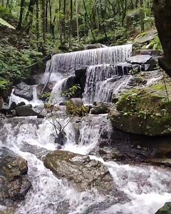 30K views · 2.6K reactions | Namma Sakleshpura  Tag ur friends with...