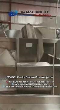 2000 BPH Poultry Processing Line Installation | Chicken Halal Slaughter Line Equipment HW Machinery